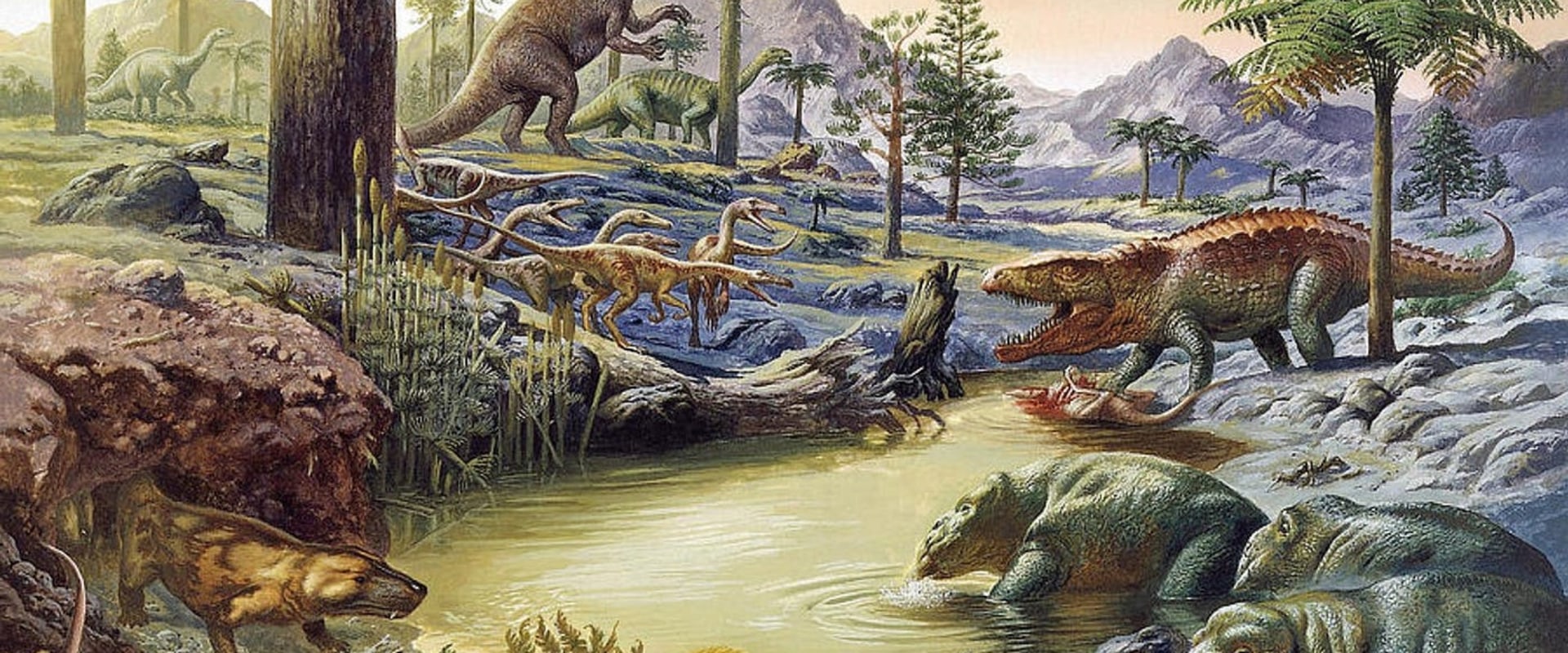 An In-Depth Look at The Great Courses: Exploring the World of History