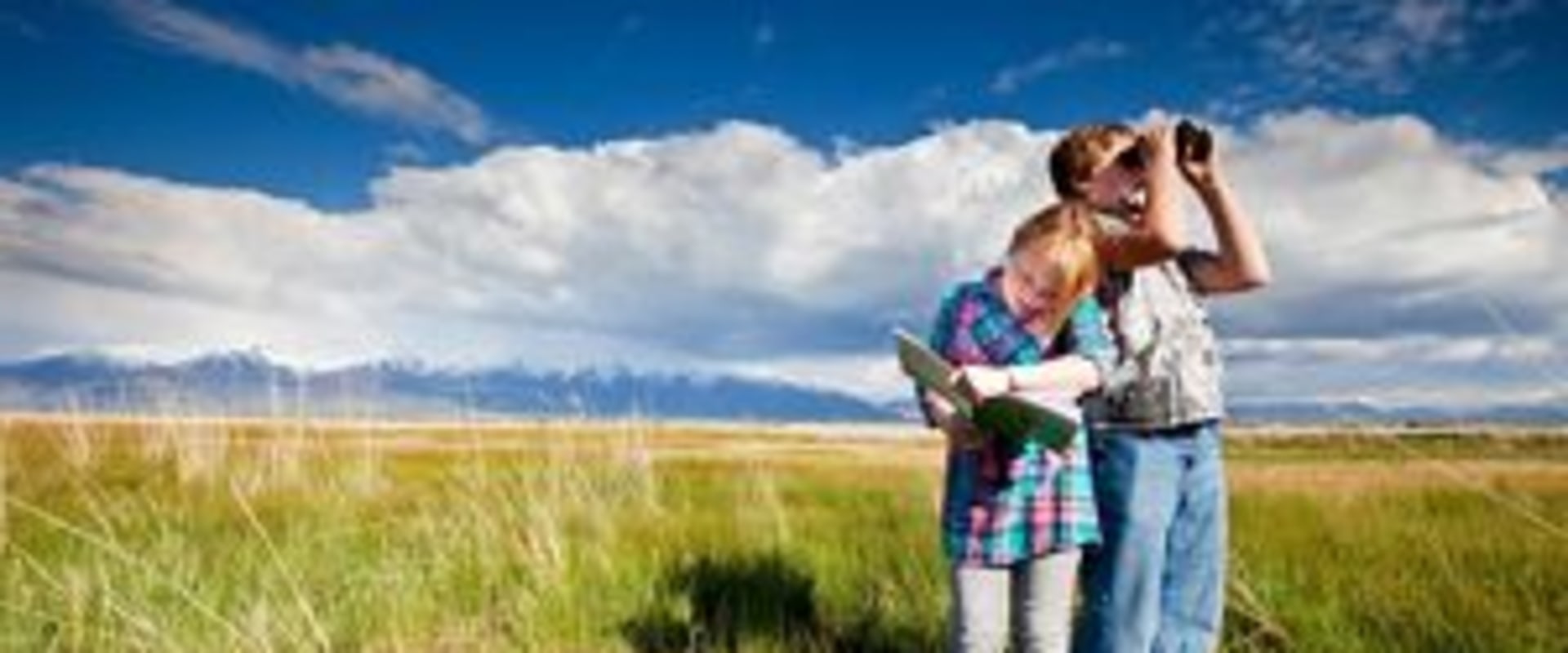 A Comprehensive Look at Study.com: Your One-Stop Resource for History Lessons